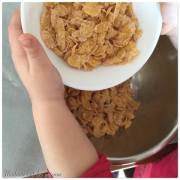 17741060_10155140901973610_913434116_n