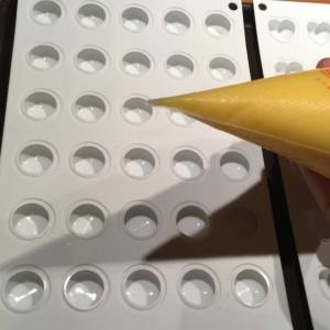 20068364_10155483179353610_478851140_n