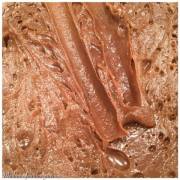 20271850_10155510991088610_1035947295_n