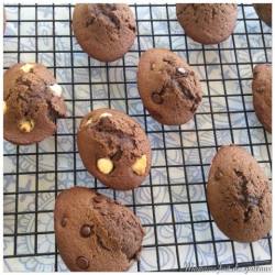 20271982_10155510992373610_345636766_n