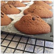 20289635_10155510993918610_247364898_n