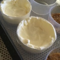 21245323_10155629492563610_282404307_n