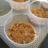 21268635_10155629492238610_513251255_n