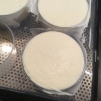 21269603_10155629493018610_497085329_n