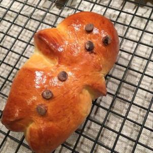 24740502_10155877262563610_1756219190_n