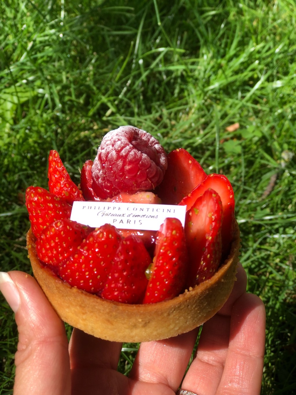 Gâteaux d&rsquo;émotions (Philippe&nbsp;Conticini)