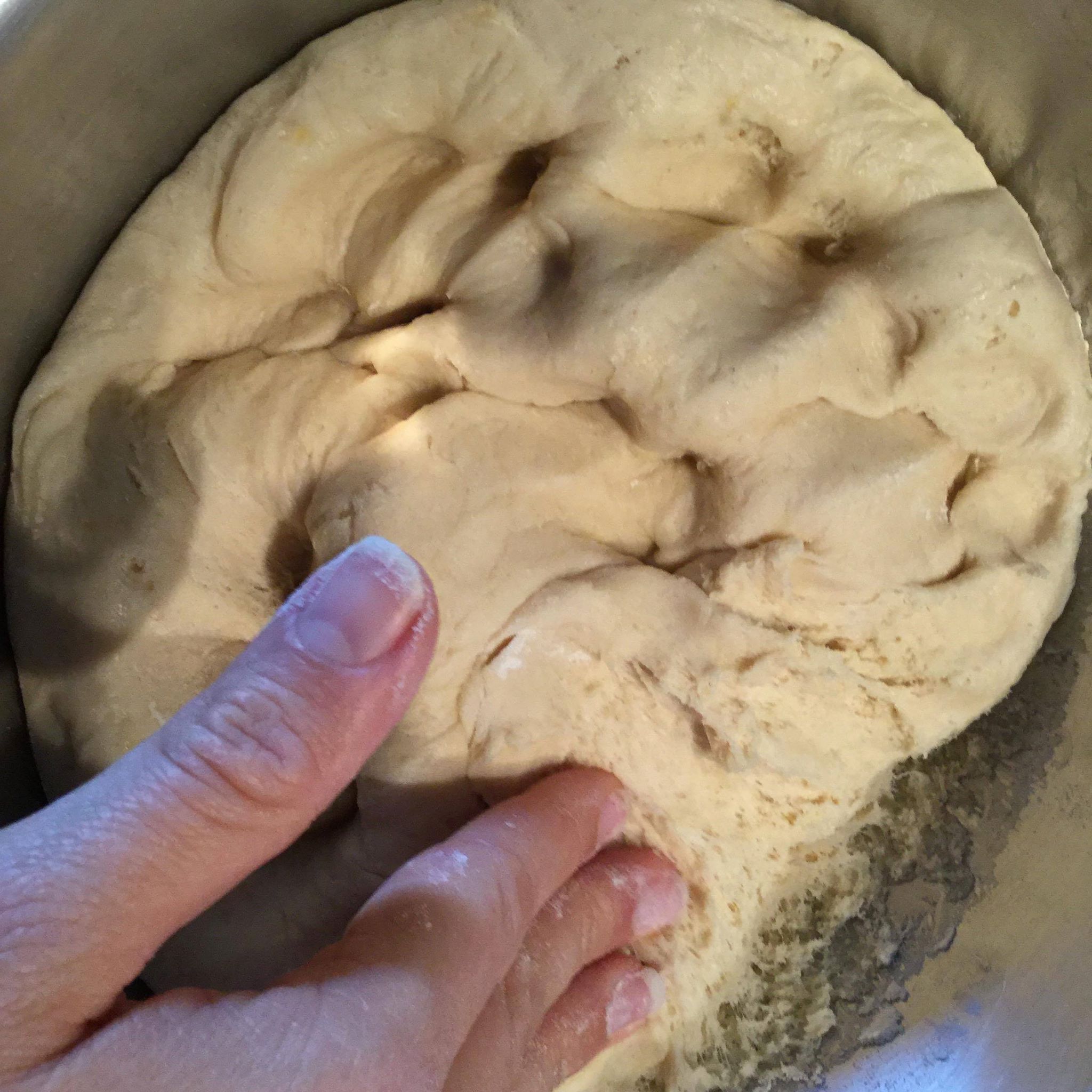 54255813_255124765432990_8754260375752409088_n